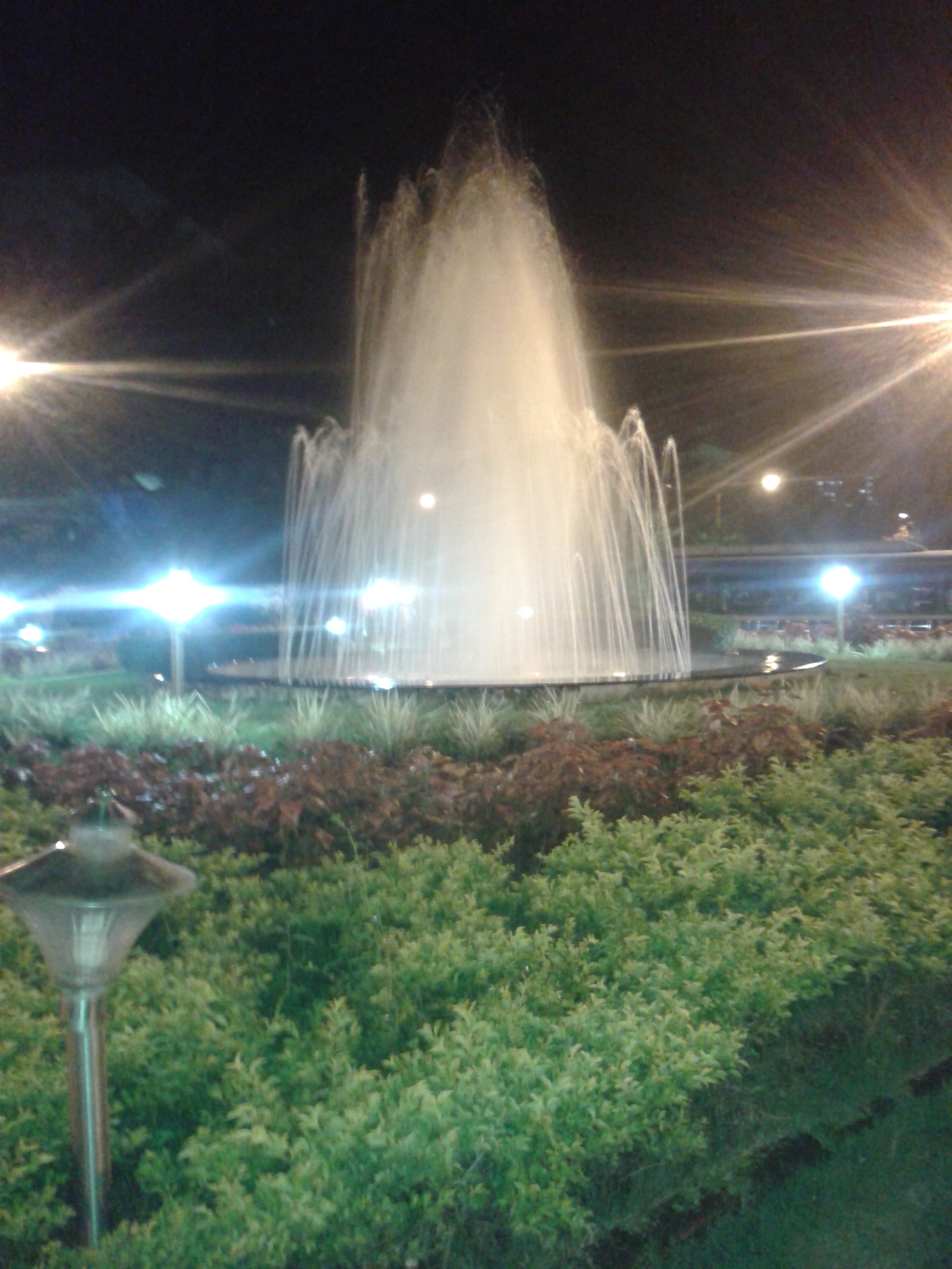 Garden Feature Project 1